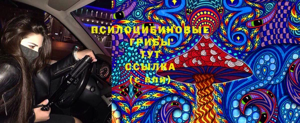 спайс Аркадак