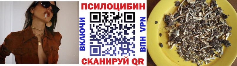 где купить наркоту  hydra ссылка  Псилоцибиновые грибы мицелий  Покров 